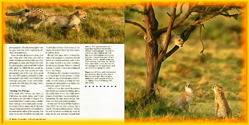 Блог #49. The speed of cheetahs is legendary. Foto от MatchFixingBet.Ru